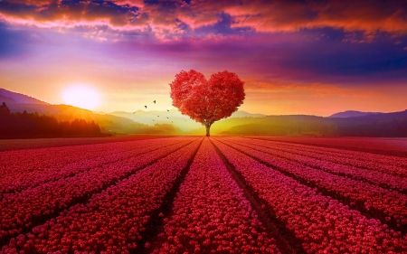 â™¥ï¸ - field, heart, love, tree, tulips