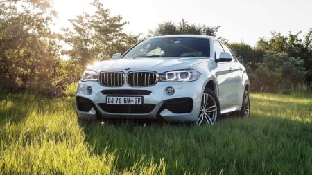 BMW X6 - luxury, BMW X6, suv, german cars