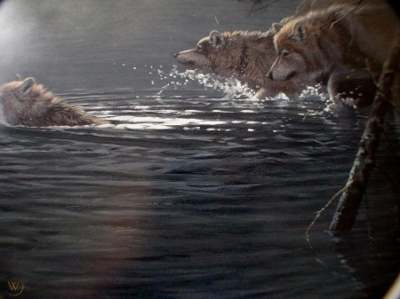 Wolves - lup, pictura, animal, water, john seerey lester, wolf, painting, art