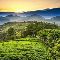 SPLENDID NATURE