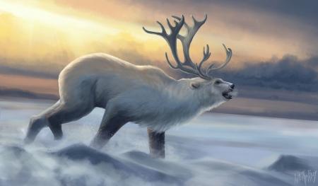 Caribear - fantasy, funny, horns, iarna, into the bear, luminos, polar bear, urs, winter