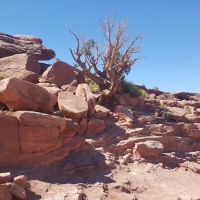 The Grand Canyon, Arizona, Nevada