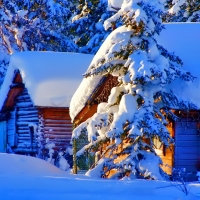 Winter Cabins