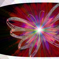 Butterfly &#xD83E;&#xDD8B; Star