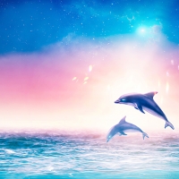 Dolphins