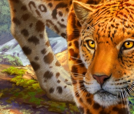 Jaguar - oranfe, eye, jaguar, frumusete, fantasy, animal, stepan gilev, face, luminos