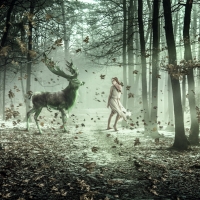 Girl and deer