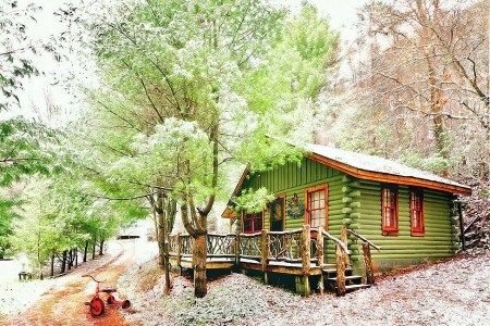 Country winter greens - path, trees, cabin, snow, tricycle