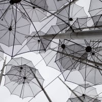 Gray umbrellas