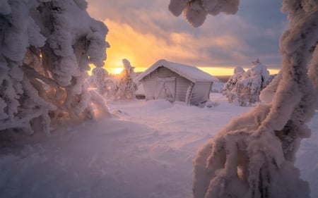 House in the Winter Forest - house, trees, winter, nature, snow, forest, sun