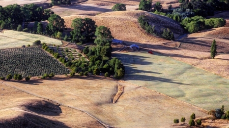 As far as you can see - trees, fields, brown, nature