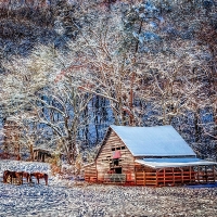 Smoky Mountain Barn in Snow