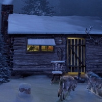Winter Night Visitors