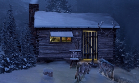 Winter Night Visitors - animals, cabin, cold, darkness, evening, night, snow, visitors, winter, wolves