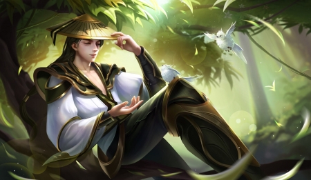The Knight-errant - arena of valor, asian, fantasy, man, green, he shicong, knight, hat