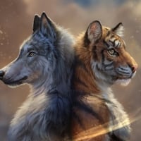 Wolf and tiger