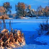 winter scene