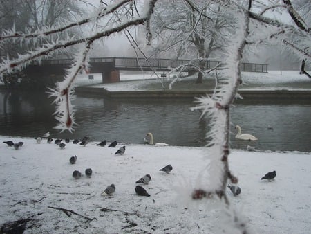 Thames River, Windsor England  - ice, snow