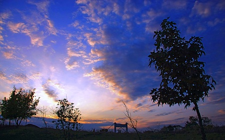 The Fall Of Evening Dew - warm, blue, amazing, beauty, lovely, cool, fascinating