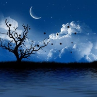 wallpaper tree pictures romanatic artistic night.jpg