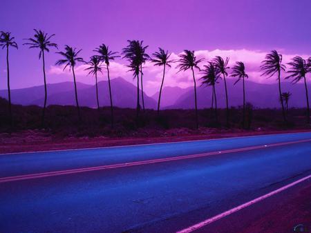 Purple Sky - sky, trees, pic, image, sunset, mountains, road, wind, purple, evening, color, photograph, palm trees, background, light, night, wallpaper, palm, picture, colour, wall, photo