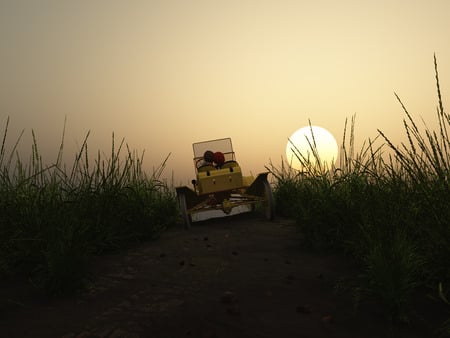 Just the two of us - car, lovers, sunset, field, road, grass