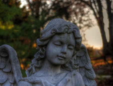 Angel of Peace - hdr, angel, trees, peace