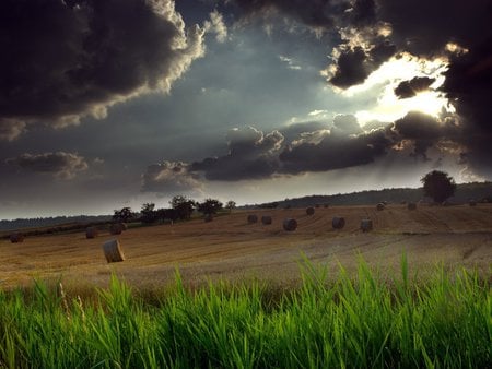 STORMY CLOUDS - storm, grass objects, rolling, darkclouds, thunder