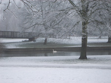 Thames River, Windsor England - ice, snow