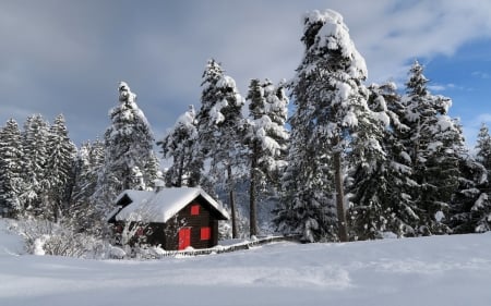 Hut on the Snow - trees, winter, nature, snow, hut, cottage, sky