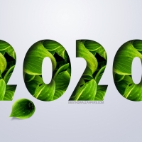 New Year 2020