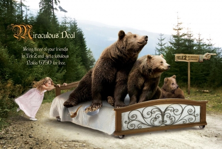 :D - add, advertise, animal, bear, bed, commercial, funny, tv, urs