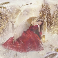 Angel in christmas forest