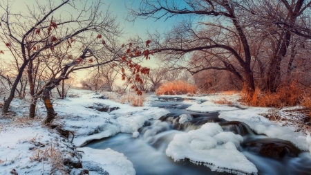 river - river, ice, trees, winter