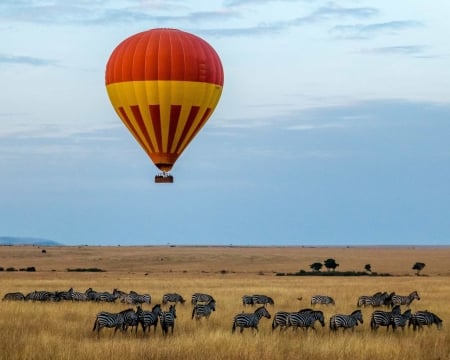 ballooning in Africa - South Africa, ballooning in Africa, Zebra, Travel