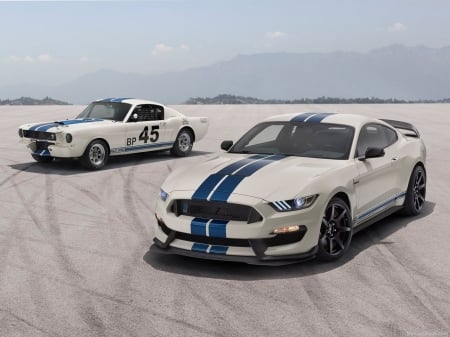 1965 Mustang Shelby GT350 fastback coupe. 2020 Ford Mustang Shelby GT350 Heritage Edition