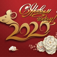 Happy New Year!