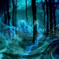 Ghost In The Woods