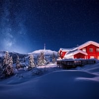 Winter night