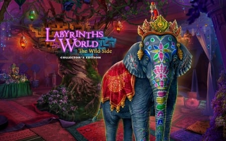 Labyrinths of the World - The Wild Side18 - fun, puzzle, hidden object, video games, cool