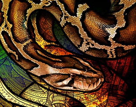 Snake - boa, culpeo fox, reptile, snake, texture
