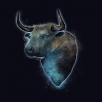 Zodiac ~ Taurus