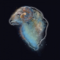 Zodiac ~ Aries