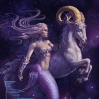 Zodiac ~ Capricorn