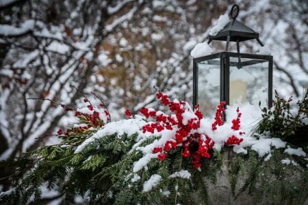 Winter Lantern - Berries, Snow, Lantern, Candle, Winter, Photography, Abstract