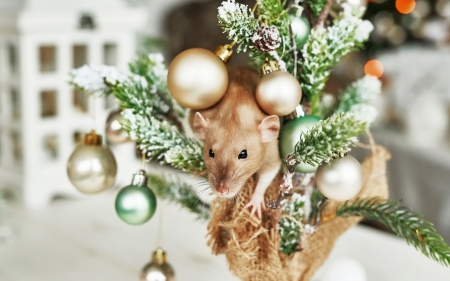 2020 ~ Year of the Rat - rat, christmas, craciun, new year, chinese zodiac, deco, year of the rat, 2020