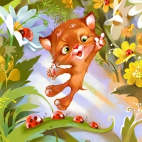 Kitten