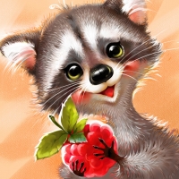 Raccoon