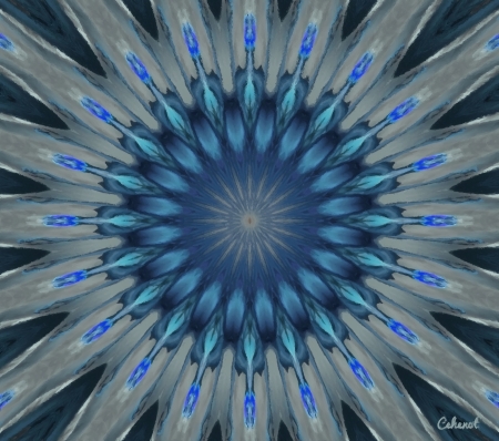 Abstract - blue, by cehenot, art, mandala, cehenot, abstract, painting, pictura, flower