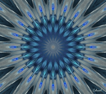 Abstract - abstract, by cehenot, blue, flower, cehenot, mandala, pictura, painting, art